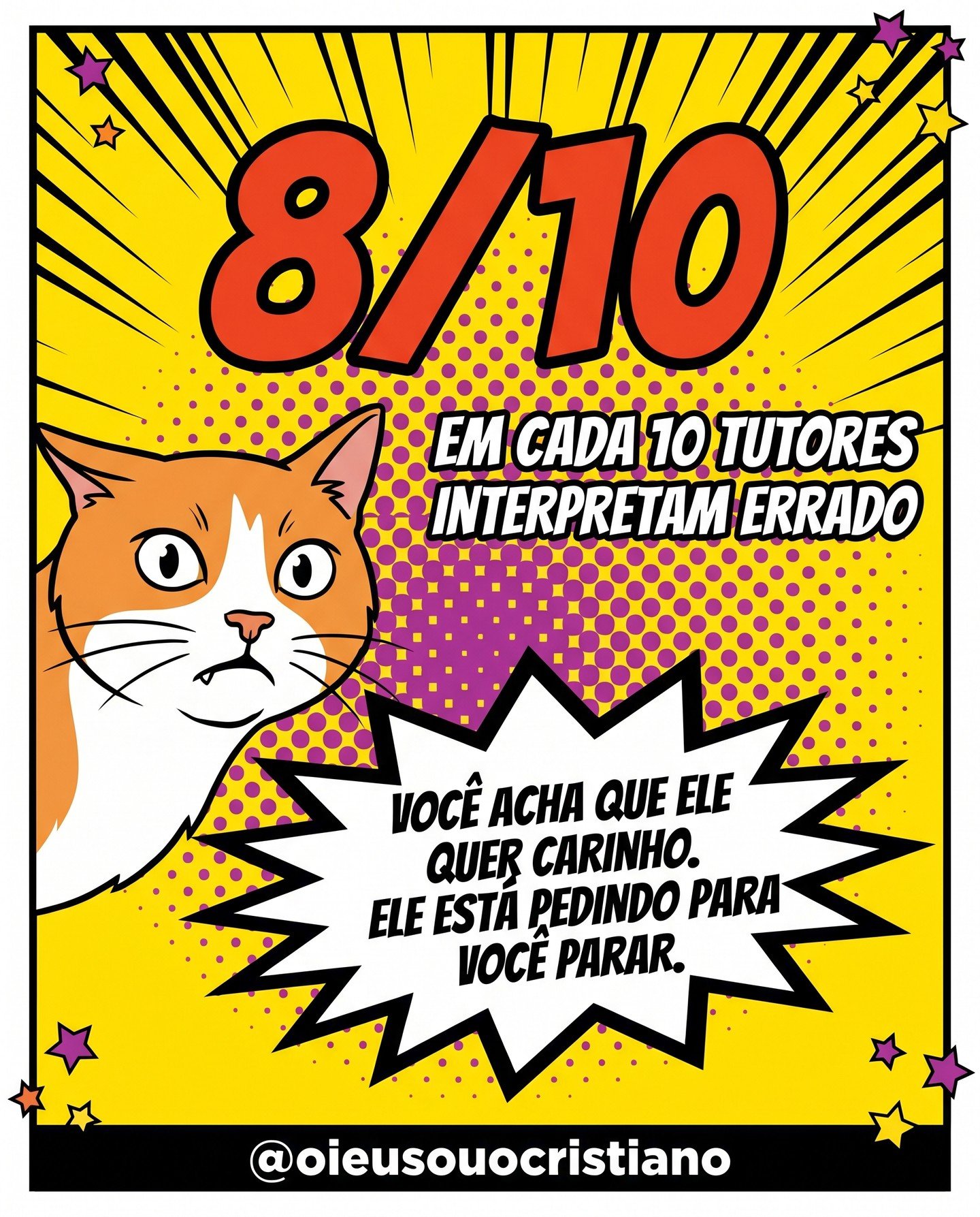 Slide 2 do carrossel sobre gatos