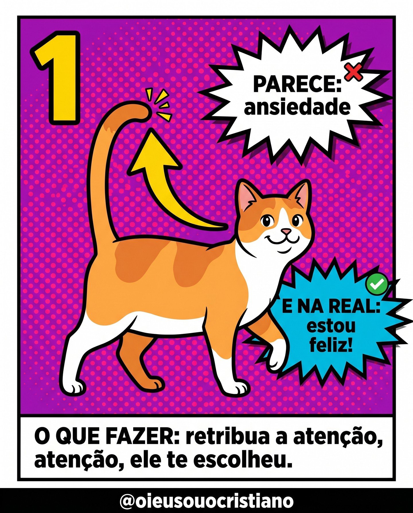 Slide 4 do carrossel sobre gatos